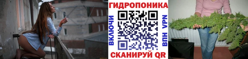 Магазины продажи наркотиков Петухово Кокаин  A-PVP  ГАШ  КЕТАМИН  Меф 