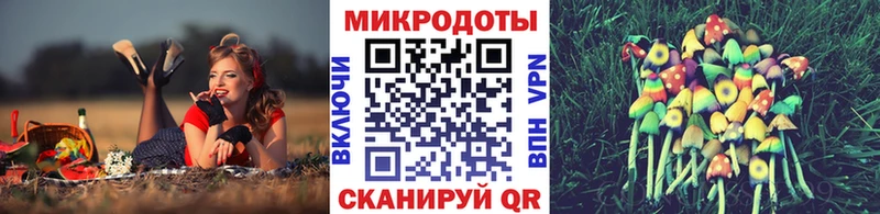 купить   Петухово  KRAKEN зеркало  Галлюциногенные грибы прущие грибы 